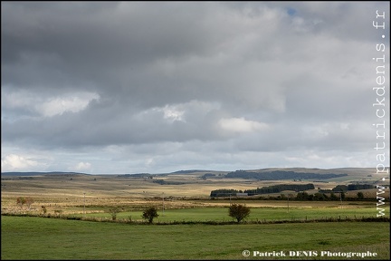 Aubrac IMG_4607 Photo Patrick_DENIS