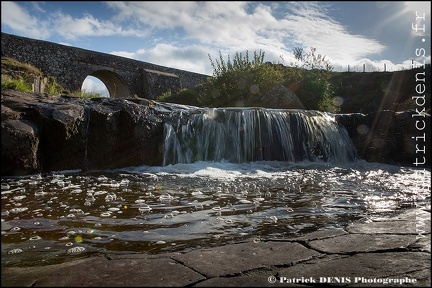 Aubrac IMG_4650 Photo Patrick_DENIS