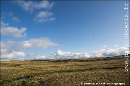 Aubrac IMG_4669 Photo Patrick_DENIS