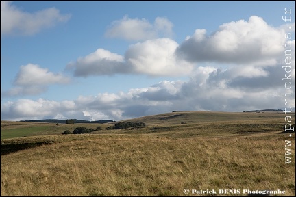 Aubrac IMG_4688 Photo Patrick_DENIS