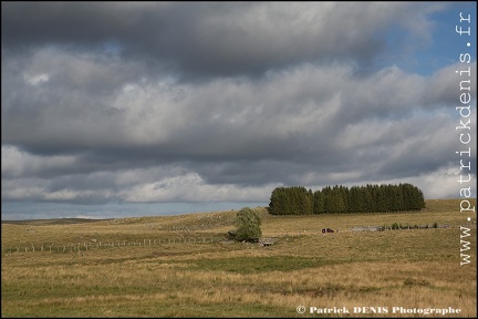 Aubrac IMG_4696 Photo Patrick_DENIS