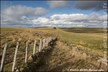 Aubrac IMG_4707 Photo Patrick_DENIS