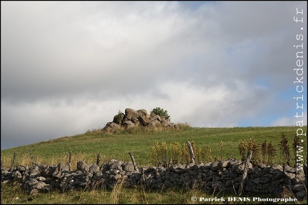 Aubrac IMG_4716 Photo Patrick_DENIS