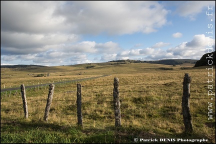 Aubrac IMG_4726 Photo Patrick_DENIS