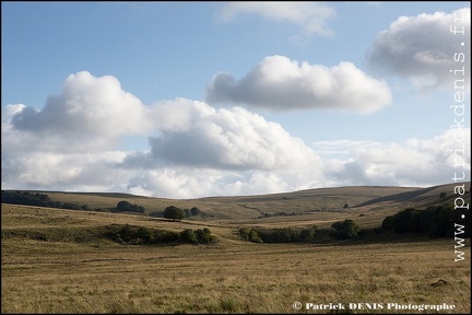 Aubrac IMG_4729 Photo Patrick_DENIS