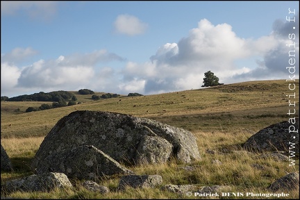 Aubrac IMG_4730 Photo Patrick_DENIS