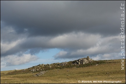 Aubrac IMG_4734 Photo Patrick_DENIS