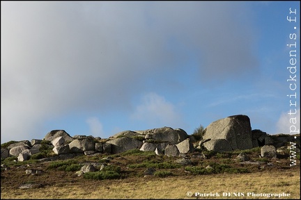 Aubrac IMG_4735 Photo Patrick_DENIS