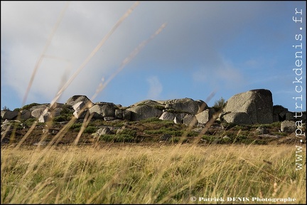 Aubrac IMG_4739 Photo Patrick_DENIS