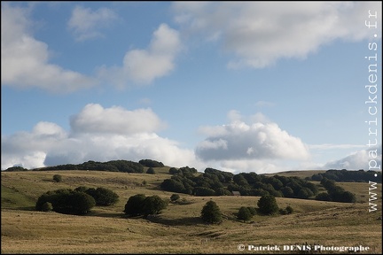 Aubrac IMG_4743 Photo Patrick_DENIS