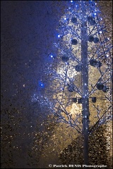 Place des anges - Arles IMG_6448 Photo Patrick_DENIS