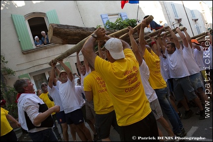 Arbre de mai - Cucuron 2017 IMG_8172 Photo Patrick_DENIS