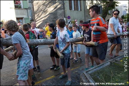 Arbre de mai - Cucuron 2017 IMG_8192 Photo Patrick_DENIS