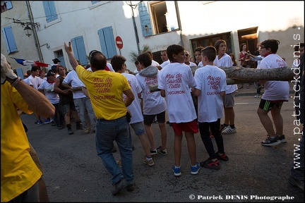 Arbre de mai - Cucuron 2017 IMG_8194 Photo Patrick_DENIS