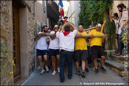 Arbre de mai - Cucuron 2017 IMG_8248 Photo Patrick_DENIS