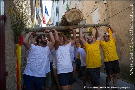 Arbre de mai - Cucuron 2017 IMG_8255 Photo Patrick_DENIS