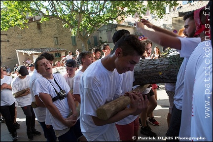 Arbre de mai - Cucuron 2017 IMG_8291 Photo Patrick_DENIS