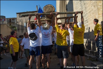 Arbre de mai - Cucuron 2017 IMG_8338 Photo Patrick_DENIS