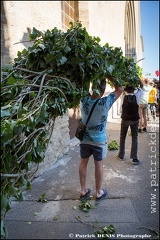 Arbre de mai - Cucuron 2017 IMG_8349 Photo Patrick_DENIS