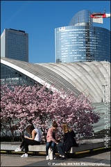 Paris - La défense IMG_4969 Photo Patrick_DENIS