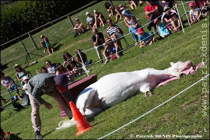 Andjai - Aurillac 2015 IMG_4082 Photo Patrick_DENIS