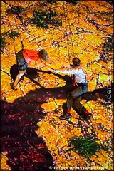 Wired Aerial Theatre - Aurillac 2015 IMG_4644 Photo Patrick_DENIS