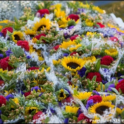 Marché flottant @ Isle sur la sorgue | 02.08.2015