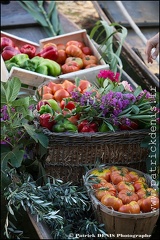 Marché flottant - Isle sur la sorgue IMG_1361 Photo Patrick_DENIS