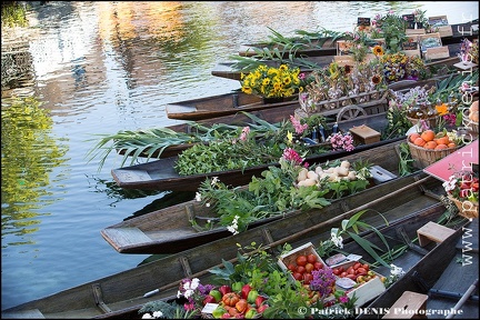 Marché flottant - Isle sur la sorgue IMG_1480 Photo Patrick_DENIS