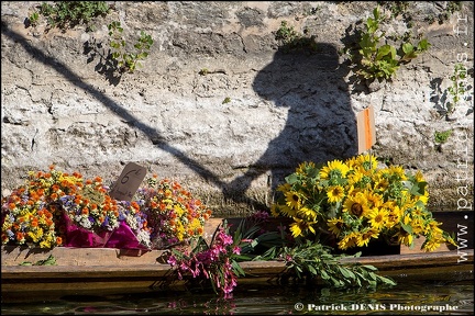 Marché flottant - Isle sur la sorgue IMG_1573 Photo Patrick_DENIS