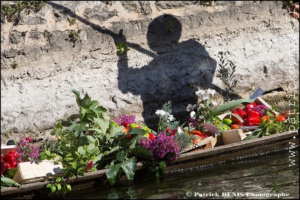 Marché flottant - Isle sur la sorgue IMG_1580 Photo Patrick_DENIS