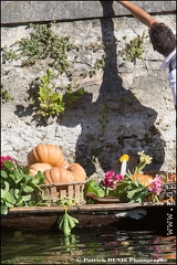 Marché flottant - Isle sur la sorgue IMG_1611 Photo Patrick_DENIS