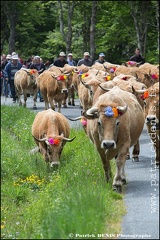 Transhumance - Bonnecombe 2015 IMG_4977 Photo Patrick_DENIS