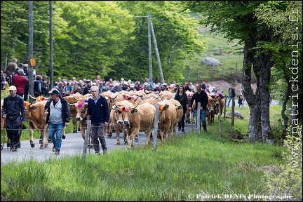 Transhumance - Bonnecombe 2015 IMG_4987 Photo Patrick_DENIS