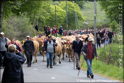 Transhumance - Bonnecombe 2015 IMG_4990 Photo Patrick_DENIS