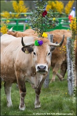 Transhumance - Bonnecombe 2015 IMG_5014 Photo Patrick_DENIS