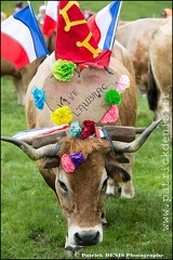 Transhumance - Bonnecombe 2015 IMG_5026 Photo Patrick_DENIS