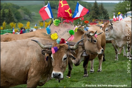 Transhumance - Bonnecombe 2015 IMG_5039 Photo Patrick_DENIS