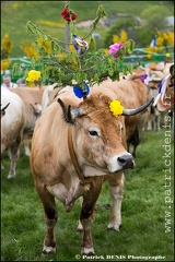 Transhumance - Bonnecombe 2015 IMG_5046 Photo Patrick_DENIS