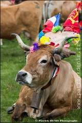 Transhumance - Bonnecombe 2015 IMG_5051 Photo Patrick_DENIS