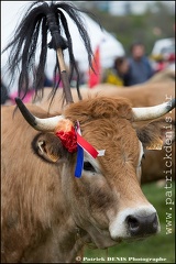 Transhumance - Bonnecombe 2015 IMG_5057 Photo Patrick_DENIS