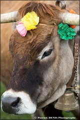 Transhumance - Bonnecombe 2015 IMG_5066 Photo Patrick_DENIS