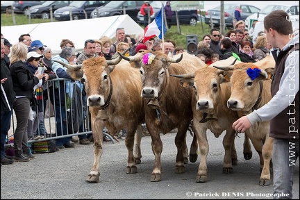 Transhumance - Bonnecombe 2015 IMG_5094 Photo Patrick_DENIS