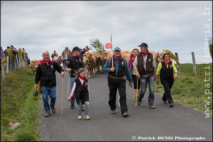 Transhumance - Bonnecombe 2015 IMG_5096 Photo Patrick_DENIS