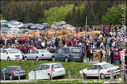 Transhumance - Bonnecombe 2015 IMG_5106 Photo Patrick_DENIS