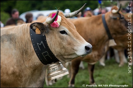 Transhumance - Bonnecombe 2015 IMG_5138 Photo Patrick_DENIS