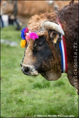 Transhumance - Bonnecombe 2015 IMG_5154 Photo Patrick_DENIS