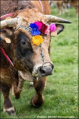 Transhumance - Bonnecombe 2015 IMG_5157 Photo Patrick_DENIS