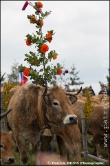 Transhumance - Bonnecombe 2015 IMG_5188 Photo Patrick_DENIS