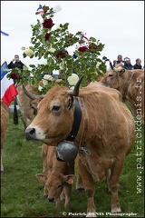 Transhumance - Bonnecombe 2015 IMG_5195 Photo Patrick_DENIS